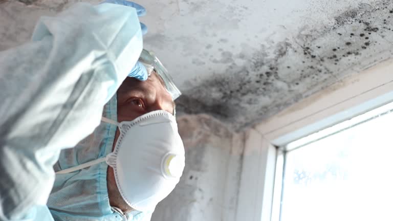 Mold Remediation for Rental Properties in Spackenkill, NY